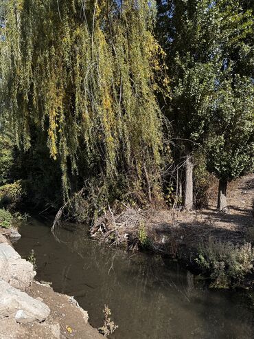 Продажа домов: Дом, 85 м², 4 комнаты, Собственник, Косметический ремонт — 4