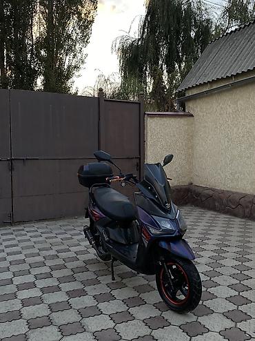 Скутеры: 🔥 SAMURAI BENALI 180 КУБОВ 🔥 Продаю свой Samurai Benali 180cc в — 40