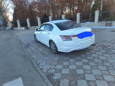 Honda: Honda Accord: 2008 г., 2.4 л, Автомат, Газ, Седан