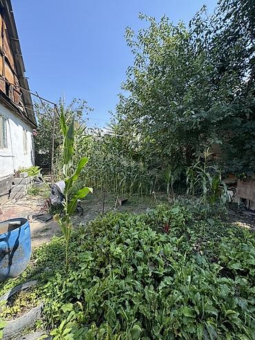 от базар: Продаётся частный дом с участком. - В продаже дом 7 комнат без — 5