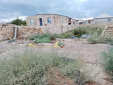 quba daşınmaz əmlak: 3 sot, Bələdiyyə — 2