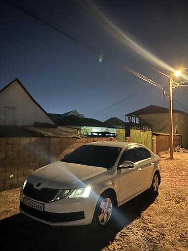 Skoda: Skoda Octavia: 2018 г., 1.6 л, Автомат, Бензин, Седан — 14