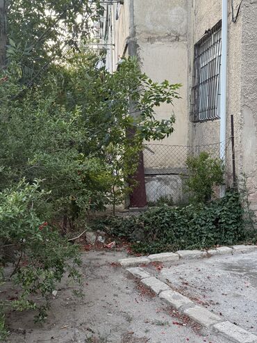 ehmedlide 3 otaqli kiraye evler: Saray, 2 otaqlı, Köhnə tikili, 50 kv. m