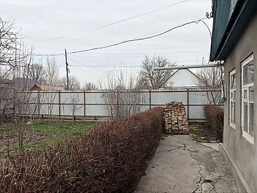 Продажа коттеджей и домов: Продается участок с домом и двором в селе Беловодское, огороженный — 7