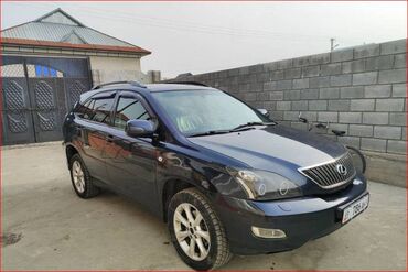 продажа хонда одиссей: Lexus RX: 2004 г., 3 л, Автомат, Газ