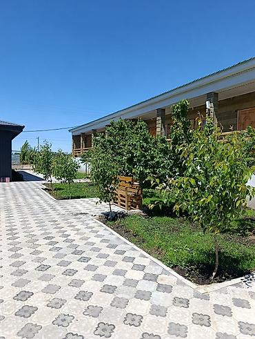 Недвижимость: Сдаются 700 сом в сутки с чел. номера в с. Бостери р-н Золотые пески — 6