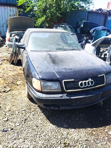 Audi: Audi : 1991 г.
