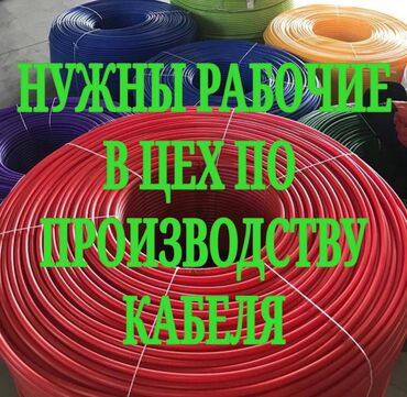 швеяга жумушчулар керек: Талап кылынат Өндүрүшкө кара жумушчу, Төлөм Бир айда эки жолу, Тажрыйбасыз