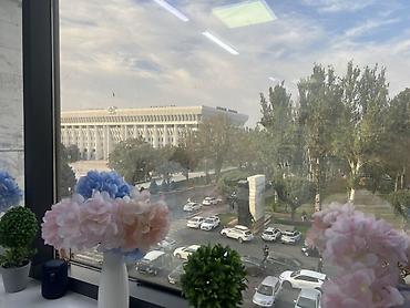 наращивания ногтей: Сдается кушетка для наращивания ресниц и Лами Чуй 120- площадь Ала — 5