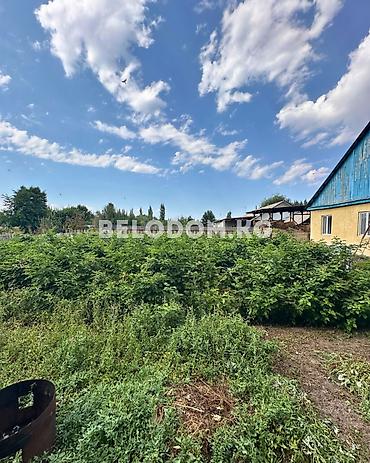 Үйлөр: 🏠Продается дом в с. Беловодское Верхняя зона, до трассы - 1.2 км — 3