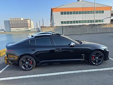 Kia: Kia Stinger: 2019 г., 2 л, Автомат, Бензин, Хэтчбэк — 7