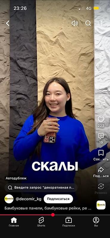 стеновая панель: Декоративные стеновые решения для интерьеров - Облицовка стен — 6