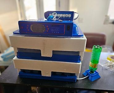 inkubator cucesi: Çin, Fabrik istehsalı, Tam avtomat, Bütün növ quşlar üçün — 3