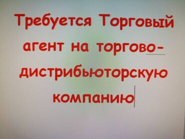 няня аламедин 1: Талап кылынат Соода агенти, Иш тартиби: Беш күндүк, Тажрыйбасы бир жылдан аз, Акы төлөнүүчү өргүү, Толук жумуш күнү