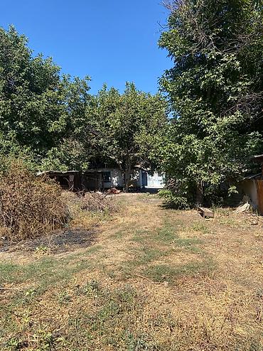 Продажа участков: 17 соток — 2