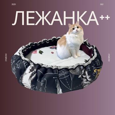 дом для сабак: Уютная и стильная лежанка для животных, выполненная в уникальном