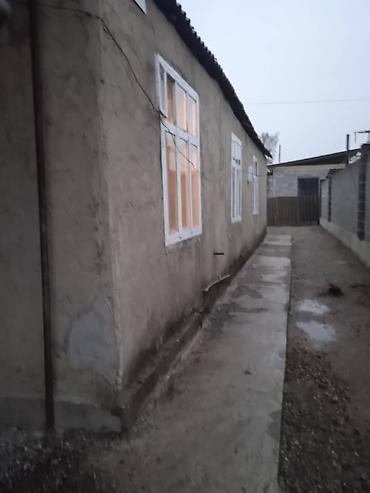 Дома: Продаётся частный дом с большим земельным участком и хозяйственными — 1