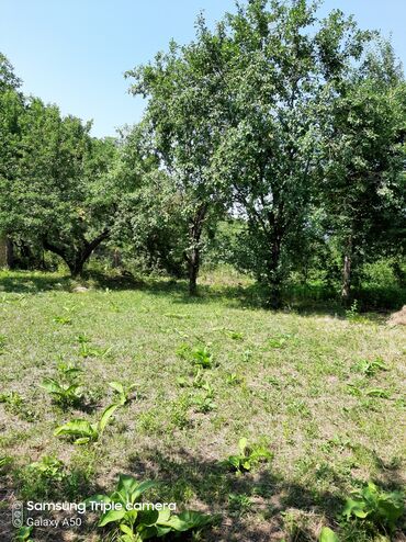 Torpaq sahələrinin satışı: 10 sot, Tikinti, Mülkiyyətçi, Kupça (Çıxarış) -da lalafo.az — 15 Torpaq sahələrinin satışı: 10 sot, Tikinti, Mülkiyyətçi, Kupça (Çıxarış) — 15