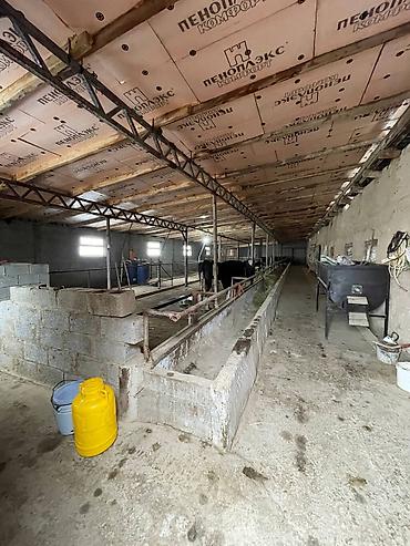 Продажа участков: 1000 соток, Для бизнеса, Красная книга — 7