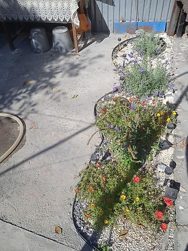 Другой декор и предметы интерьера: ВОДОПАДЫ .ВОДОЕМЫ. РОДНИКИ. ФОНТАНЫ at lalafo.kg — 11 Другой декор и предметы интерьера: ВОДОПАДЫ .ВОДОЕМЫ. РОДНИКИ. ФОНТАНЫ — 11