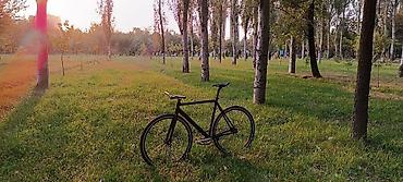 format velosiped: Городской велосипед, Tsunami, Рама L (172 - 185 см), Б/у — 3