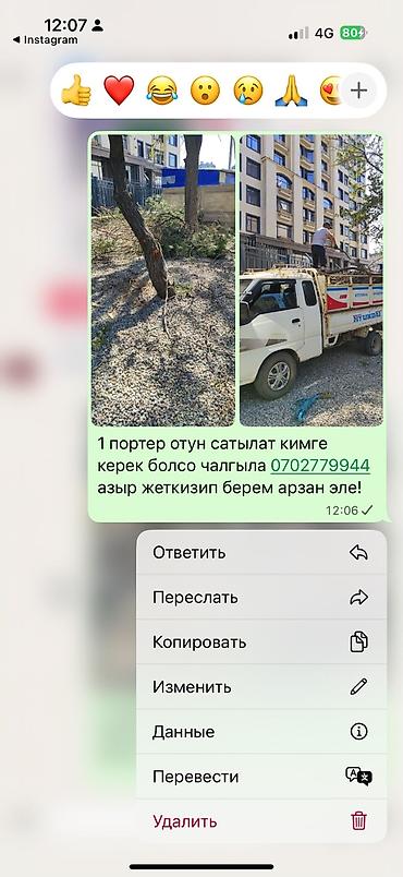 Транспорт: Портер-такси — грузовые перевозки и вывоз мусора Услуги: - Вывоз — 4