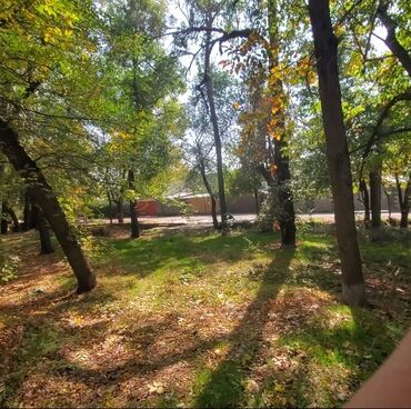 Долгосрочная аренда домов: 50 м², 3 комнаты, Забор, огорожен at lalafo.kg — 11 Долгосрочная аренда домов: 50 м², 3 комнаты, Забор, огорожен — 11