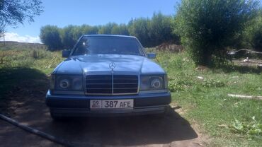 маленький автомобиль: Mercedes-Benz 230: 1991 г., 2.3 л, Механика, Бензин, Седан