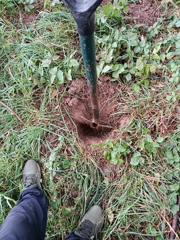 Продажа участков: 72 соток, Для сельского хозяйства, Договор купли-продажи — 5