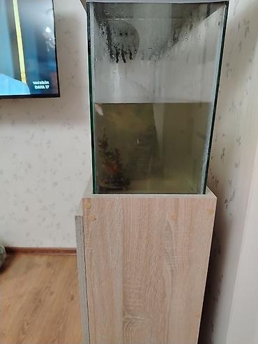 bala qoyun: Dördbucaq akvarium, Boş, 80 l, Ünvandan götürmə — 2