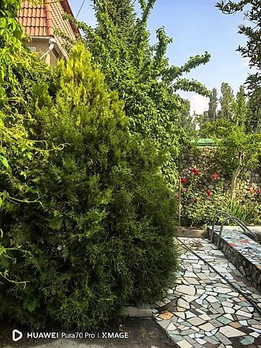 Гостиницы на Иссык-Куле: Гостиница на Иссык-Куле, Тамчы — 35