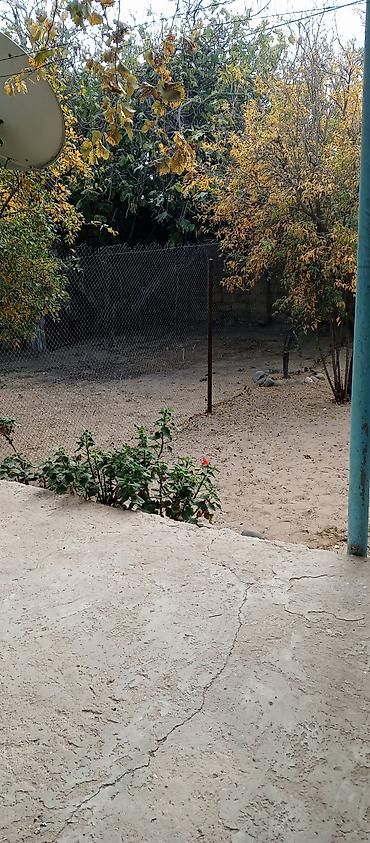 yeni güneşlide: 2 sot, Kənd təsərrüfatı, Mülkiyyətçi, Kupça (Çıxarış) — 2