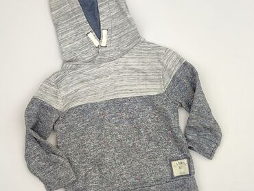 kurtka flek: Sweatshirt, Zara, 3-4 years, 98-104 cm, condition - Perfect