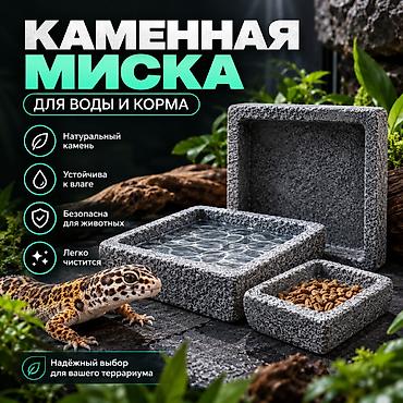 морской аквариум: 🐢 ТЕРРАРИУМ ДЛЯ ЧЕРЕПАХИ С ПОДОГРЕВОМ И ТЕРМОРЕГУЛЯТОРОМ Создайте — 4