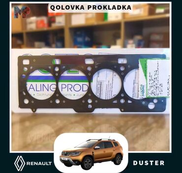 Trubalar, patruboklar: Renault DUSTER, Analoq, Fransa