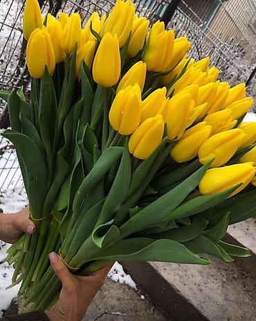 Цветы и букеты: ТЮЛЬПАНЫ ТЮЛЬПАНЫ ТЮЛЬПАНЫ на 8 марта. Бронь - Палитра: ярко‑желтые — 2