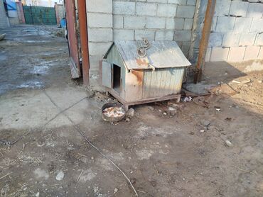 дом для кош: Продам