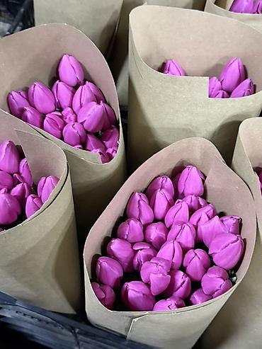 Букеты из живых цветов: Тюльпаны на 8 марта Принимаю корпоративные заказы с оформлением 16 — 12