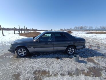 на 124 мерседес: Mercedes-Benz W124: 1990 г., 2.9 л, Механика, Дизель, Седан