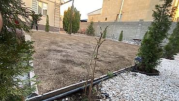 Газон: Газон + система автополива “под ключ” Что предлагаем - Проектирование — 8