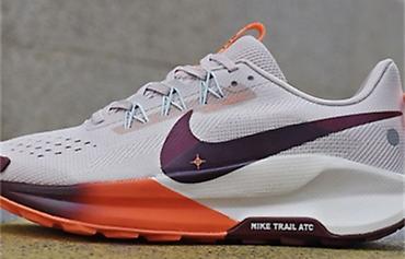 Кроссовки и спортивная обувь: Под заказ! Кроссовки для трейлраннинга Nike Trail - Назначение: бег — 7