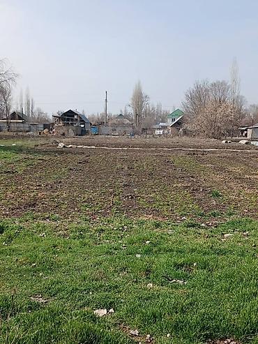 1 bedroom: 41 соток, Для бизнеса, Красная книга, Тех паспорт — 2
