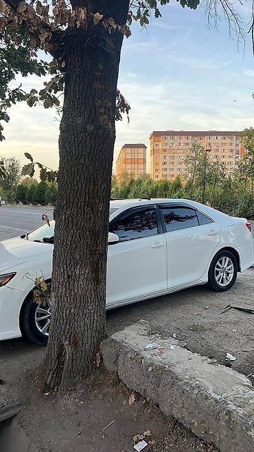 mercedes e200: Toyota Camry: 2012 г., 2.5 л, Автомат, Гибрид, Седан — 9