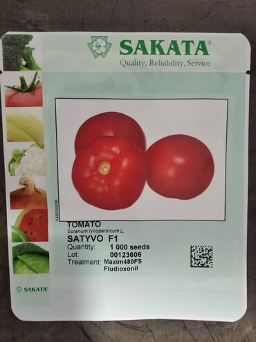 Другие виды семян и саженцев: Семена томата Сативо F1 от компании SAKATA для открытого грунта