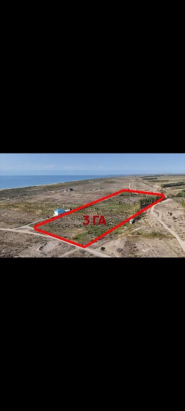 3000 соток