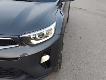 Kia: Kia Stonic: 2019 г., 1.4 л, Автомат, Бензин, Кроссовер — 7