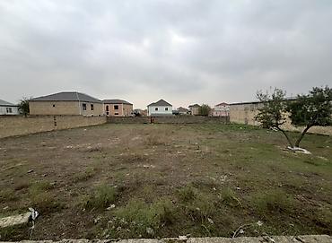 lokbatanda ev satilir: 27 sot, Tikinti, Mülkiyyətçi, Kupça (Çıxarış) — 3