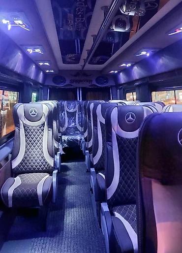 rex sprinter: Пункт назначения: Тюп, Количество мест: 20, Лицензия №: 232746 — 5