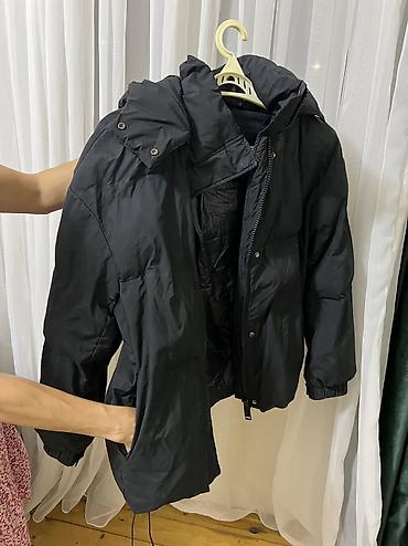 Kurtkalar: Zara, M — 4