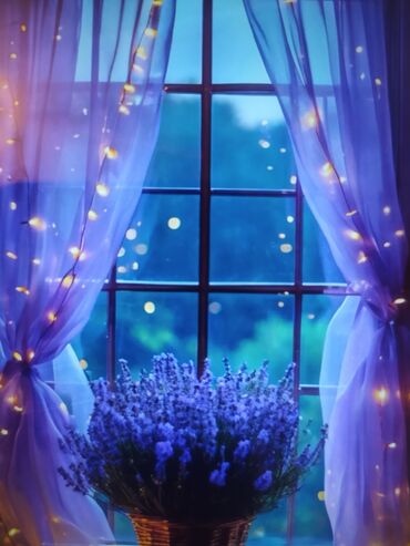 сдаю дом без хозяина: 16 м², С мебелью